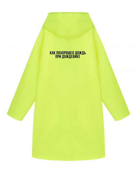 ДОЖДЕВИК "КАК ПОХОРОШЕЛ ДОЖДЬ..."