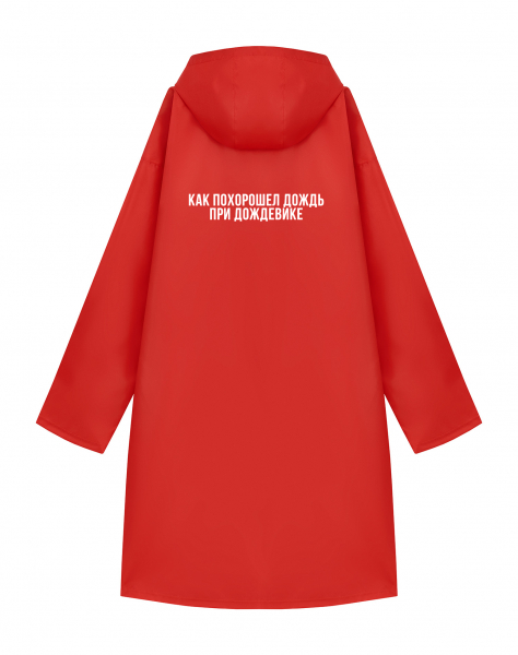 ДОЖДЕВИК "КАК ПОХОРОШЕЛ ДОЖДЬ..."