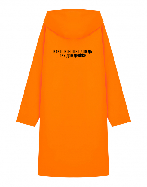 ДОЖДЕВИК "КАК ПОХОРОШЕЛ ДОЖДЬ..."