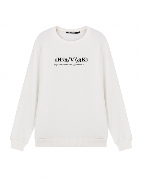 СВИТШОТ "1H73/V\\3K7"