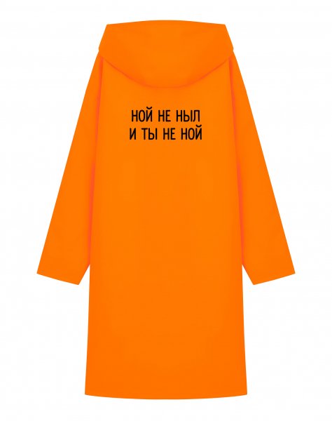 ДОЖДЕВИК "НОЙ НЕ НЫЛ и ТЫ НЕ НОЙ"