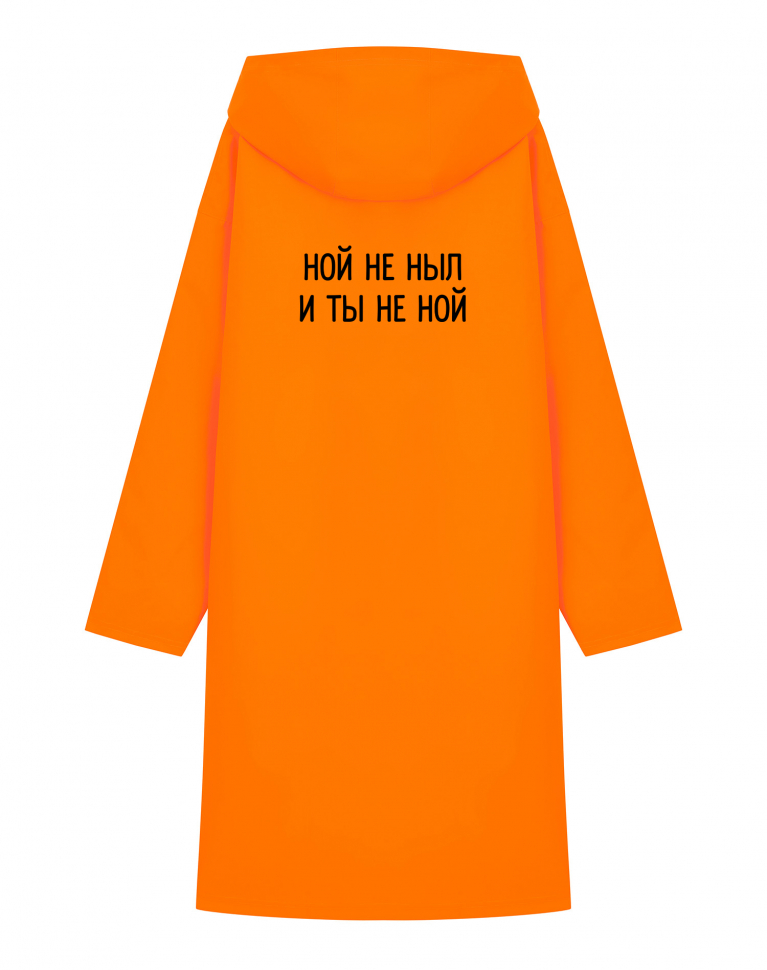 ДОЖДЕВИК "НОЙ НЕ НЫЛ и ТЫ НЕ НОЙ"