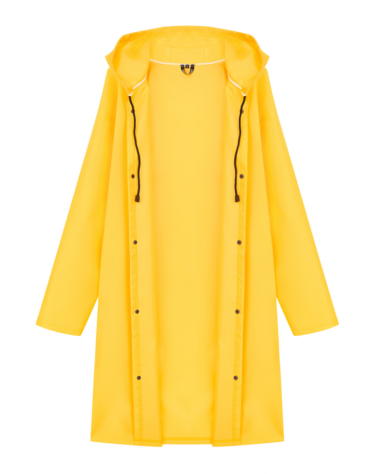 ДОЖДЕВИК "НОЙ НЕ НЫЛ и ТЫ НЕ НОЙ"