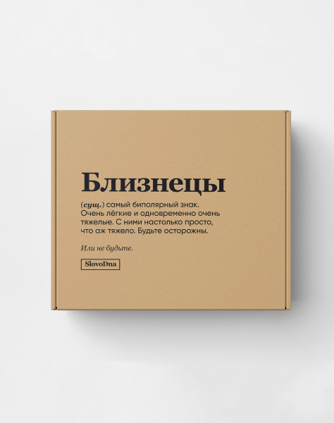 Подарочная коробка "БЛИЗНЕЦЫ" by @SLOVODNA