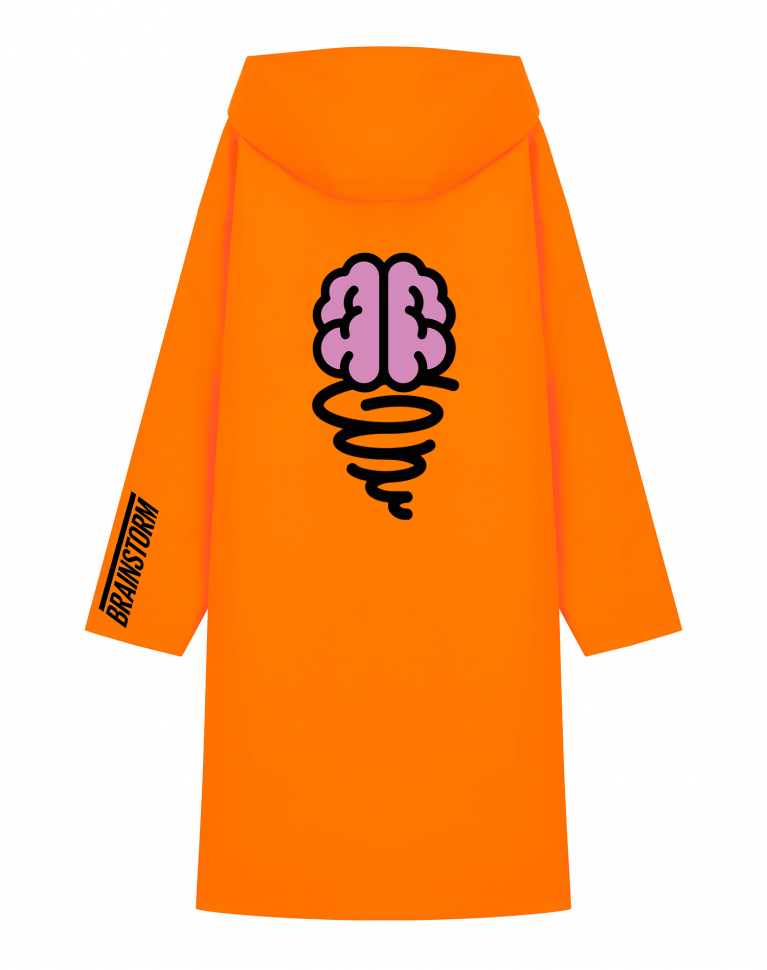 ДОЖДЕВИК Brain+Storm