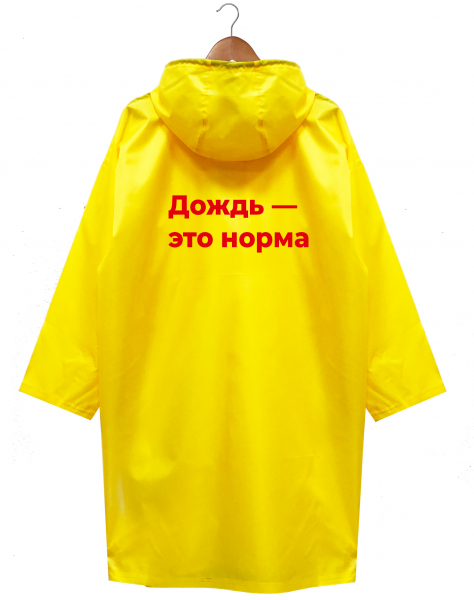 ДВУСТОРОННИЙ ДОЖДЕВИК "ДОЖДЬ - ЭТО НОРМА" Х НЕТМОНЕТ