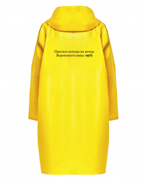 ДОЖДЕВИК "ПРОГНОЗ ПОГОДЫ НА ВЕЧЕР"