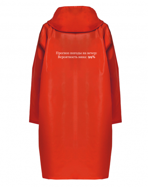 ДОЖДЕВИК "ПРОГНОЗ ПОГОДЫ НА ВЕЧЕР"