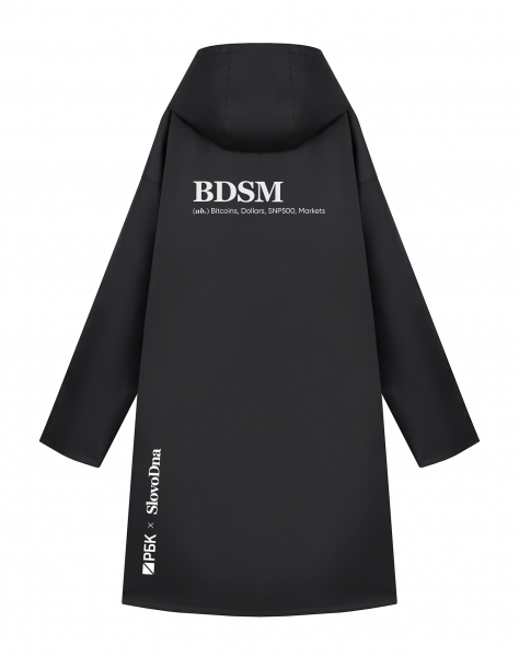 ДОЖДЕВИК BDSM х РБК