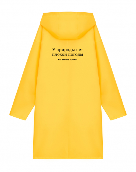 ДОЖДЕВИК "У ПРИРОДЫ НЕТ ПЛОХОЙ ПОГОДЫ"