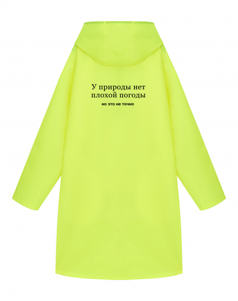 ДОЖДЕВИК "У ПРИРОДЫ НЕТ ПЛОХОЙ ПОГОДЫ"