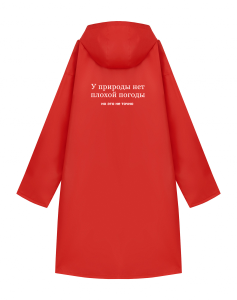 ДОЖДЕВИК "У ПРИРОДЫ НЕТ ПЛОХОЙ ПОГОДЫ"