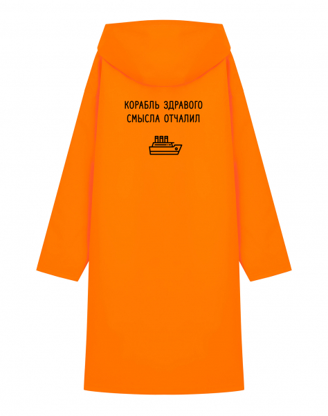 ДОЖДЕВИК "КОРАБЛЬ ЗДРАВОГО СМЫСЛА ОТЧАЛИЛ"