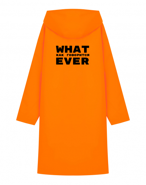 ДОЖДЕВИК "WHAT EVER v2.0"