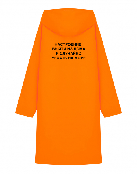 ДОЖДЕВИК "НАСТРОЕНИЕ: ВЫЙТИ ИЗ ДОМА..."