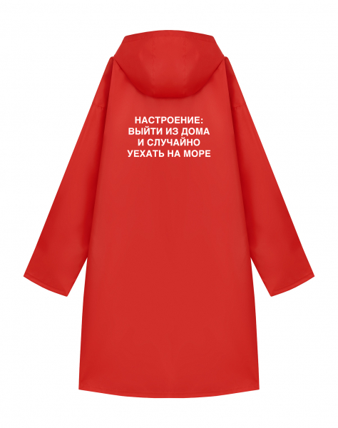 ДОЖДЕВИК "НАСТРОЕНИЕ: ВЫЙТИ ИЗ ДОМА..."