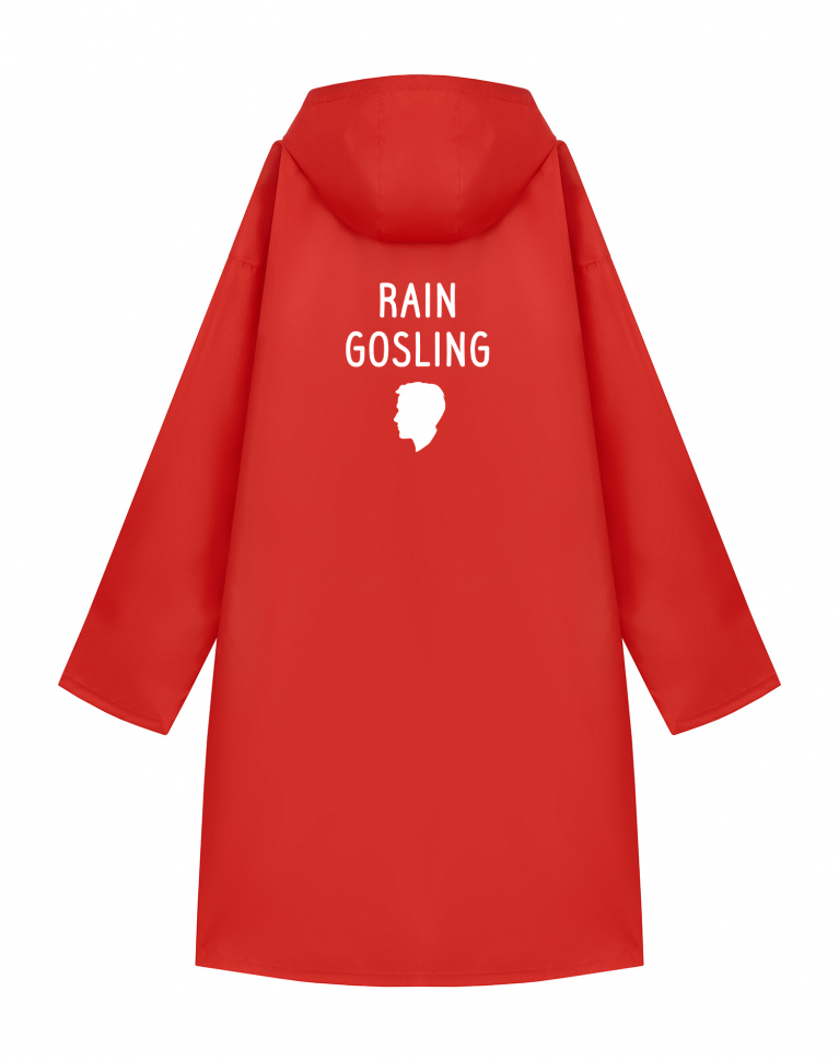 ДОЖДЕВИК "RAIN GOSLING"