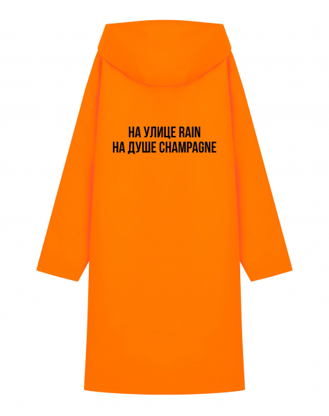 ДОЖДЕВИК "На улице Rain - На душе Champagne"
