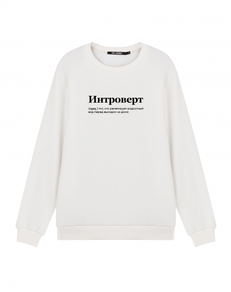 СВИТШОТ "Интроверт"
