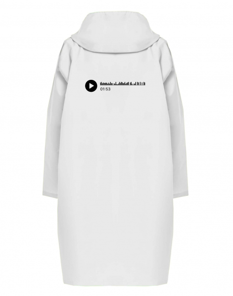 ДОЖДЕВИК "ГОЛОСОВОЕ СООБЩЕНИЕ"