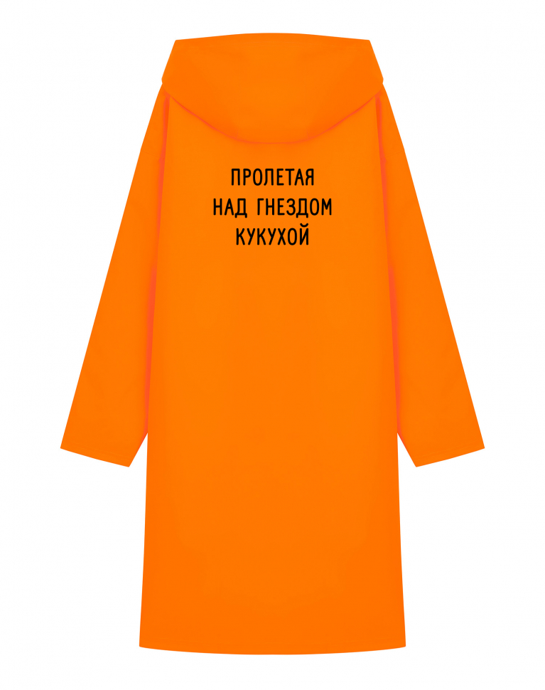 ДОЖДЕВИК "ПРОЛЕТАЯ НАД ГНЕЗДОМ КУКУХОЙ"