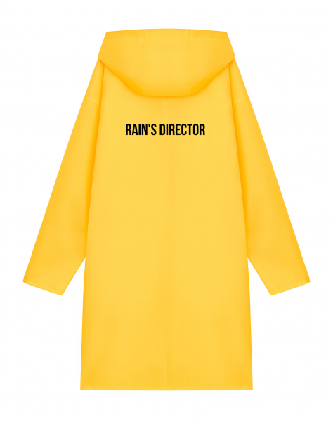 Дождевик "RAIN'S DIRECTOR"