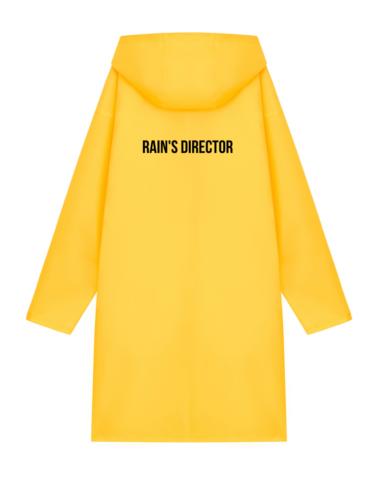 Дождевик "RAIN'S DIRECTOR"