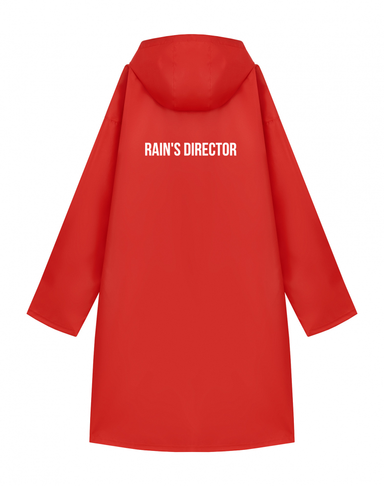 Дождевик "RAIN'S DIRECTOR"