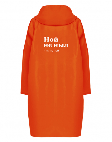 ДОЖДЕВИК "Ной не ныл, и ты не ной" by SlovoDna