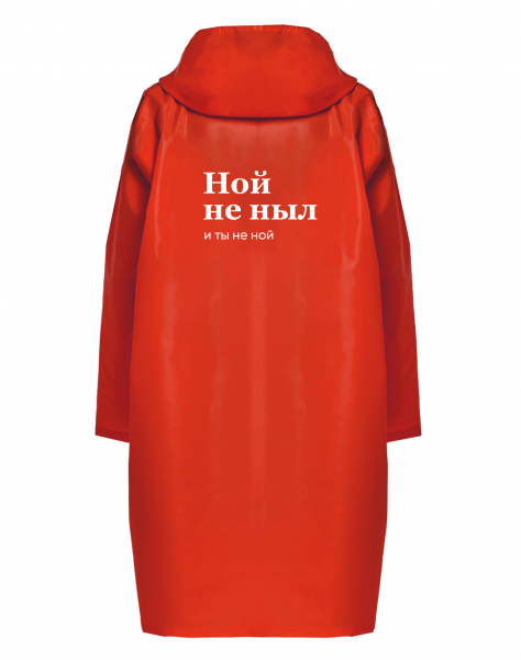 ДОЖДЕВИК "Ной не ныл, и ты не ной" by SlovoDna