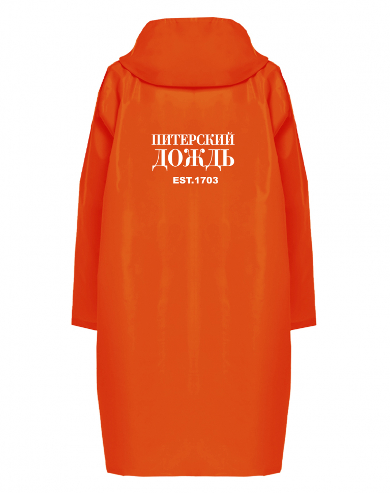 ДОЖДЕВИК "ПИТЕРСКИЙ ДОЖДЬ EST.1703"