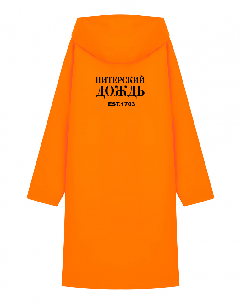 ДОЖДЕВИК "ПИТЕРСКИЙ ДОЖДЬ EST.1703"