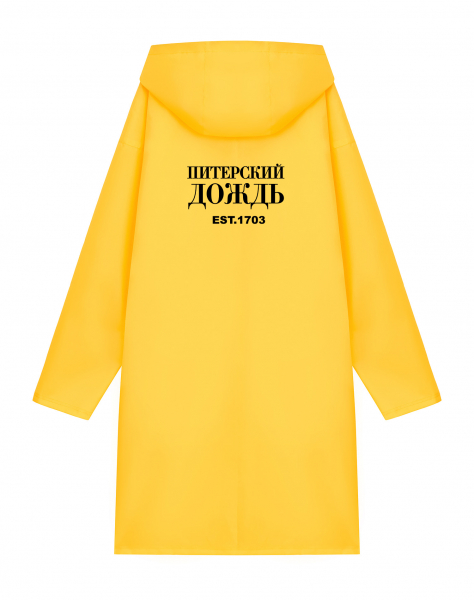 ДОЖДЕВИК "ПИТЕРСКИЙ ДОЖДЬ EST.1703"