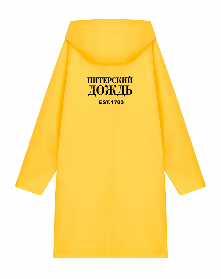 ДОЖДЕВИК "ПИТЕРСКИЙ ДОЖДЬ EST.1703"