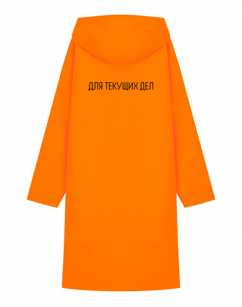 ДОЖДЕВИК "Для текущих дел"