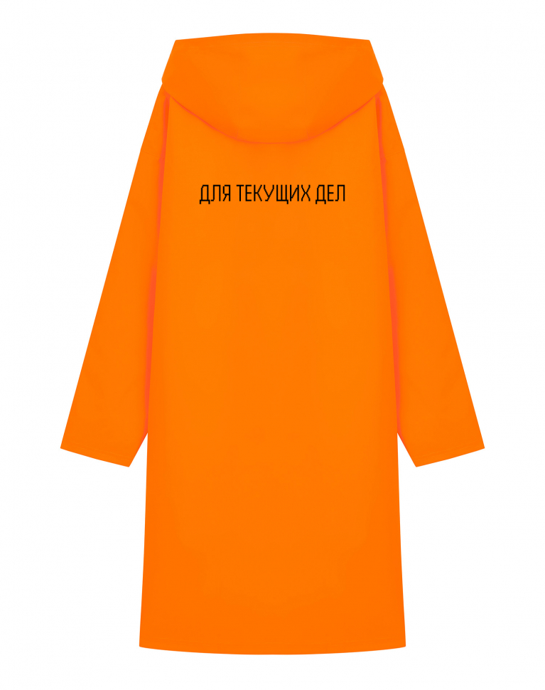 ДОЖДЕВИК "Для текущих дел"