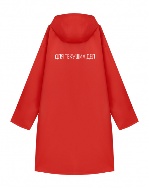 ДОЖДЕВИК "Для текущих дел"