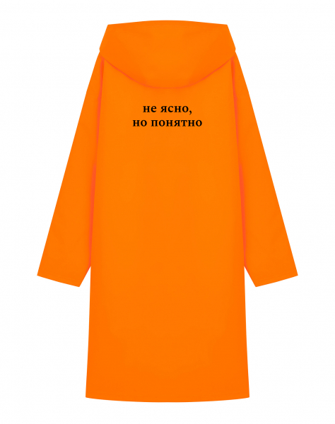 ДОЖДЕВИК "НЕ ЯСНО, НО ПОНЯТНО"