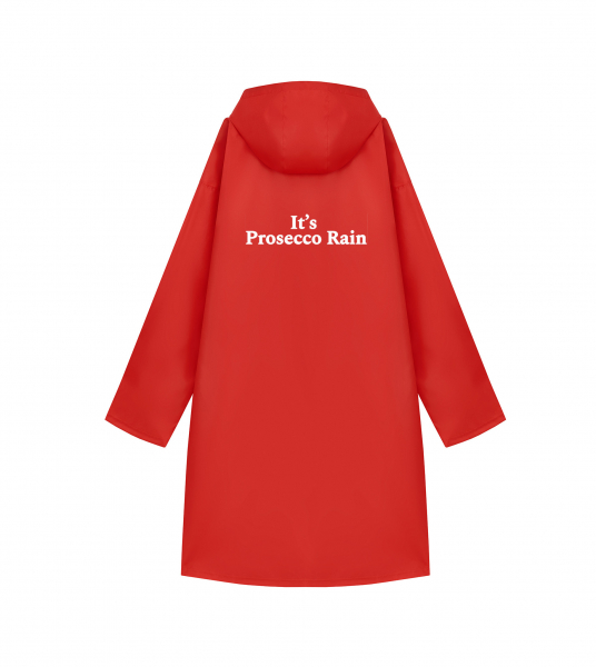 ДОЖДЕВИК "IT`S PROSECCO RAIN"
