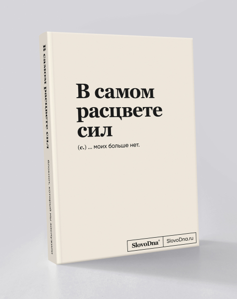 Блокнот "В самом расцвете сил" SlovoDna® + Стикеры в подарок
